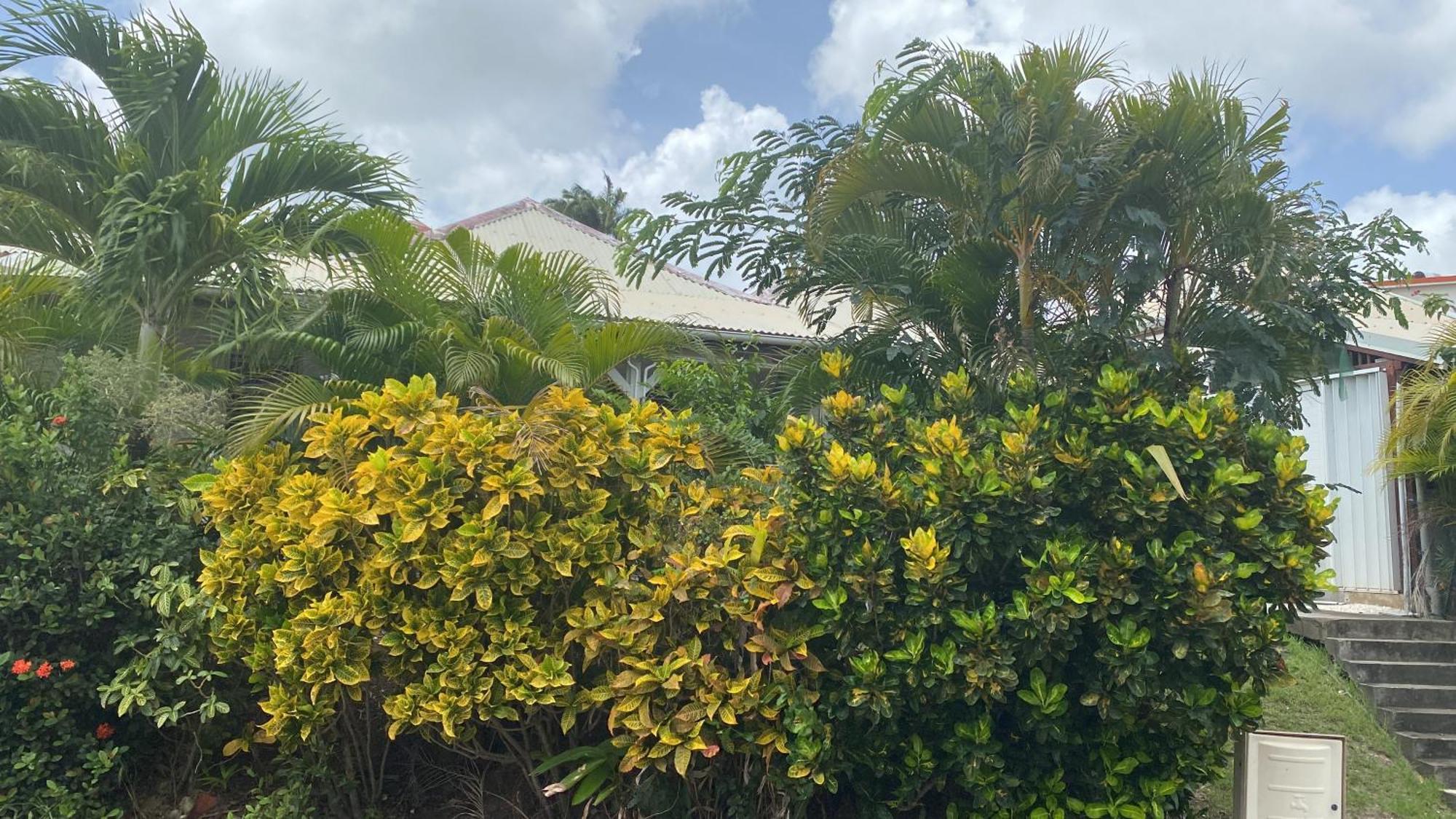 Bungalow Belfond Plage Pointe Marin Sainte-Anne Buitenkant foto